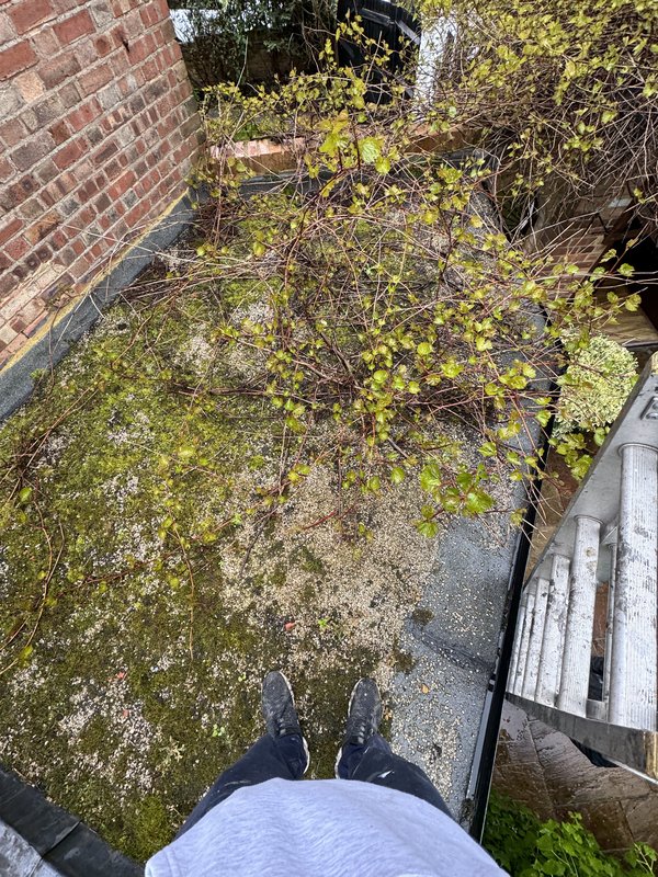 Before flat roof replacement Surrey